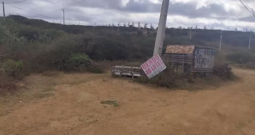 Terreno à venda na Loteamento Miguel lins de Freitas, Prado, Pesqueira