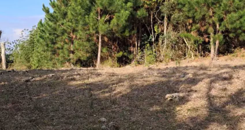 Chácara / sítio à venda em Zona Rural, Rio do Campo 