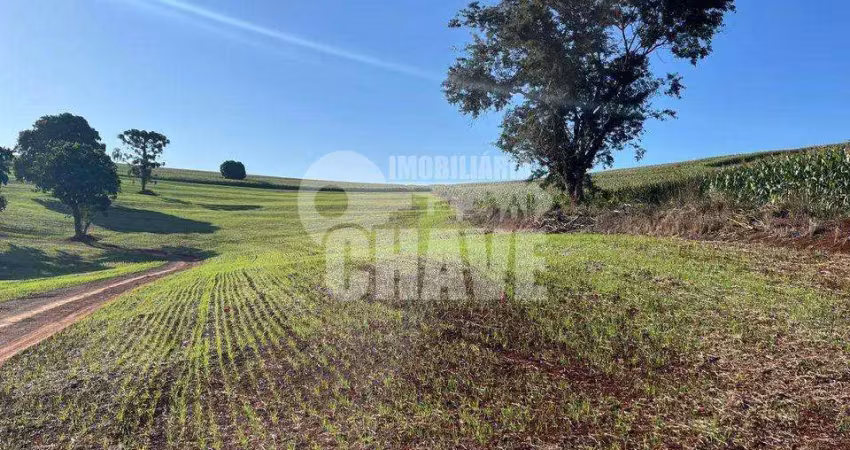 Vende-se sítio de 6 alqueires no distrito espírito santo em londrina - pr