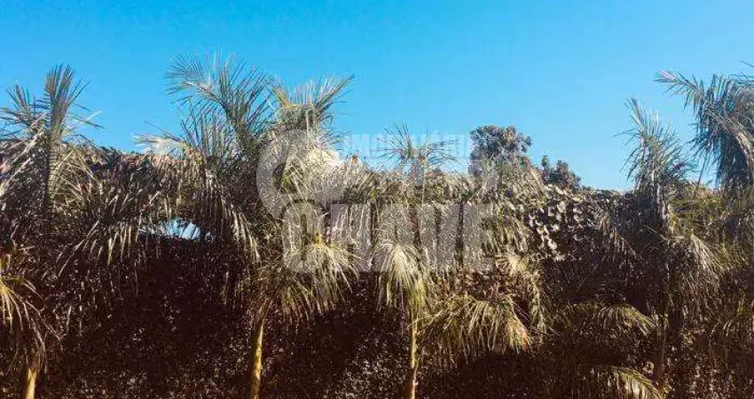 Vende-se chácara no jardim colina verda em londrina - pr