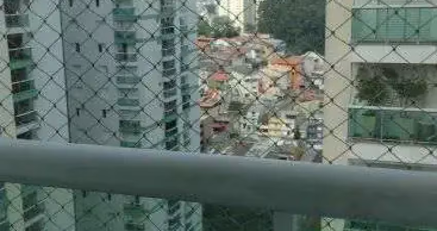 Tenho castanheiras e estudo permuta por imóvel menor +r$