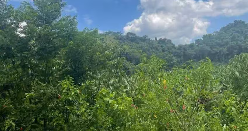Área para reserva legal com vegetação nativa aluguel / venda  /arrendamento
