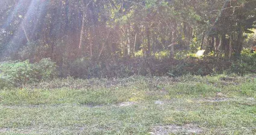 Terreno à venda no Palmeiras II, Itanhaém 