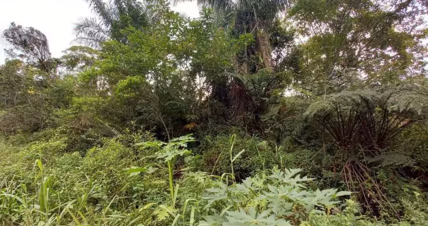 Terreno à venda no Jardim São Francisco, Peruíbe 