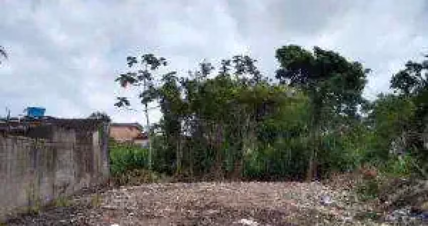 Terreno à venda no Palmeiras II, Itanhaém 