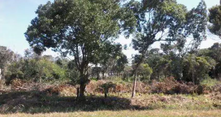 Terreno à venda em Luíza Mar Mirim, Itanhaém 