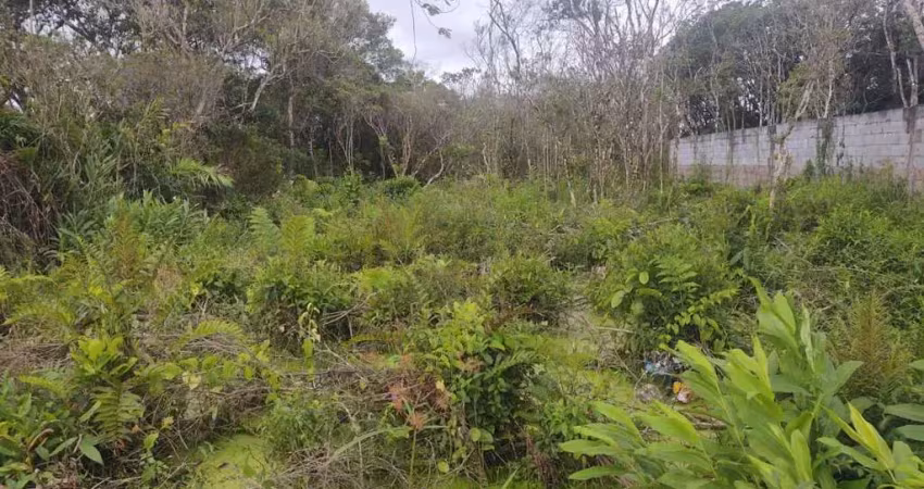 Terreno à venda em Luíza Mar Mirim, Itanhaém 