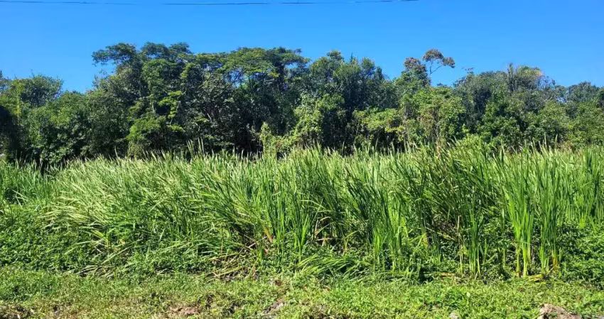 Terreno à venda no Bambu, Peruíbe 
