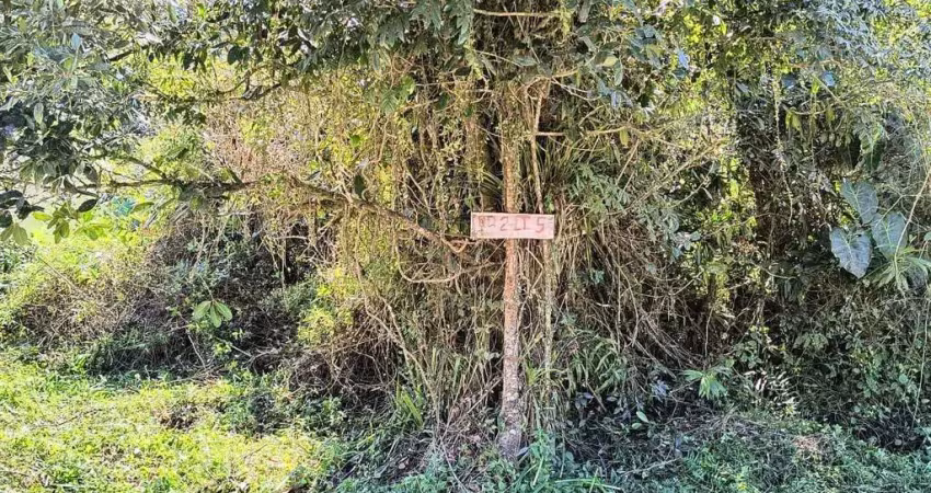 Terreno à venda no Jardim das Palmeiras, Itanhaém 