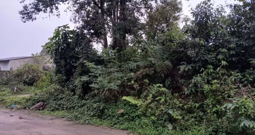Terreno à venda no Jardim Coronel, Itanhaém 