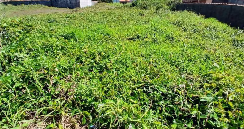 Terreno à venda no Balneário Tupy, Itanhaém 