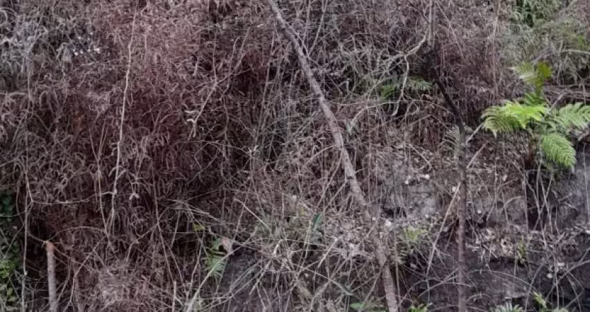 Terreno de chácara com 2.400m² no jardim são fernando em itanhaém