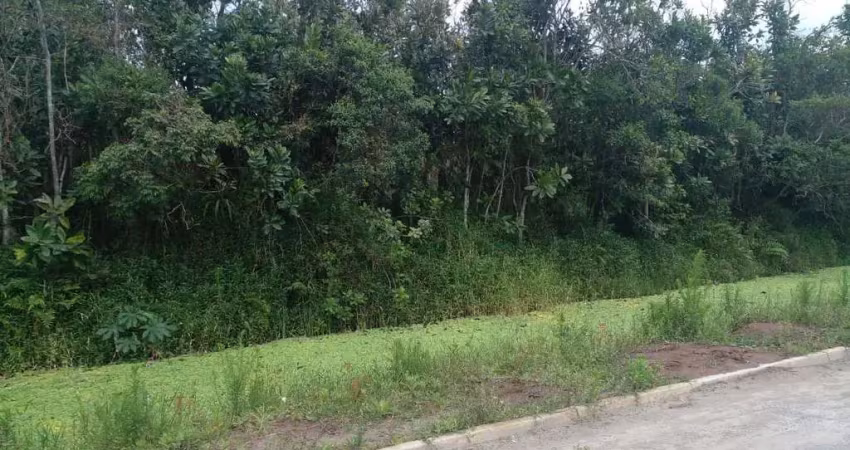 Terreno à venda na Av. Padre Anchieta, 6840, Balneário Gaivota, Itanhaém