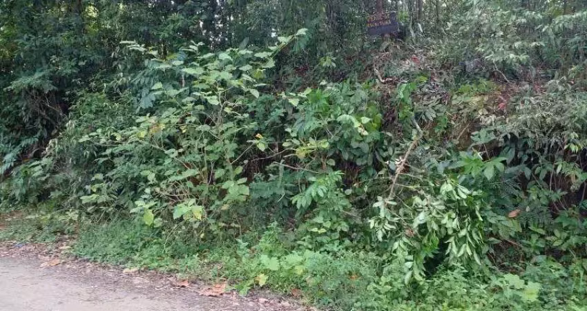 Terreno à venda na Av. Padre Anchieta, 6840, Balneário Gaivota, Itanhaém