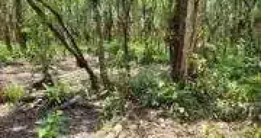 Terreno à venda na Praça Ângelo Guerra, 008, Balneário Gaivota, Itanhaém