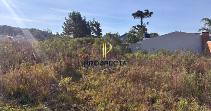 Terreno à venda no São Luiz, Caxias do Sul 