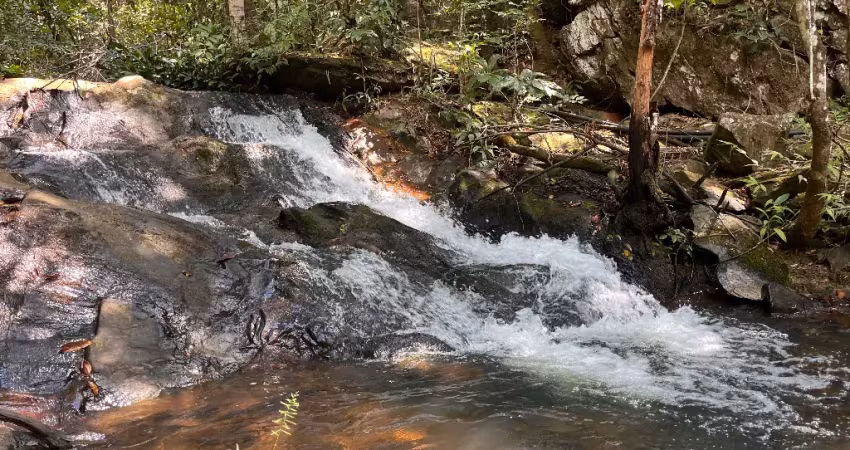 Pousada/chacara 4 alqueires, com chalés de 2 e 3 quartos. pirenópolis-go