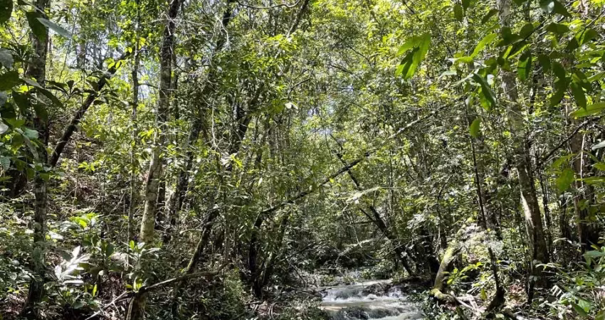Chácara 5.000m2, com casa, córrego, galinheiro,canil, toda cercada com tela! pirenópolis-goiás