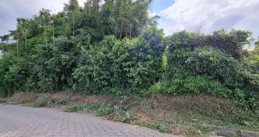 Terreno, chácara ou sítio - tijuquinas (guaporanga), biguaçu