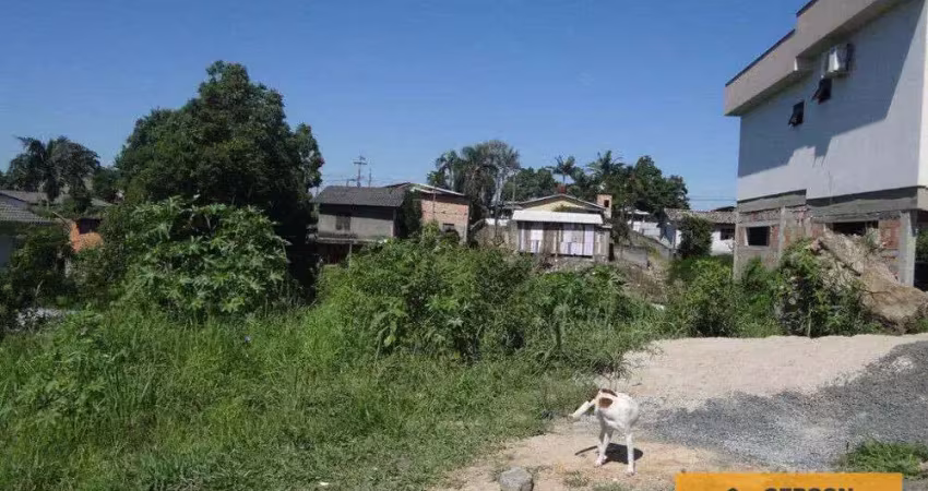 Terreno à venda na Rua Ferdinando Martignago, Santo Antônio, Criciúma