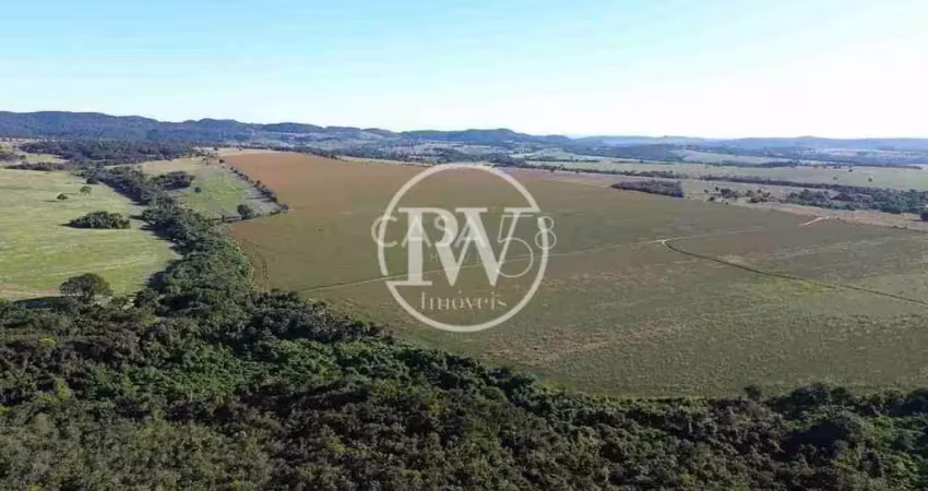 Fazenda à venda em piracanjuba-go com 50 alqu. para lavoura, alta produtividade