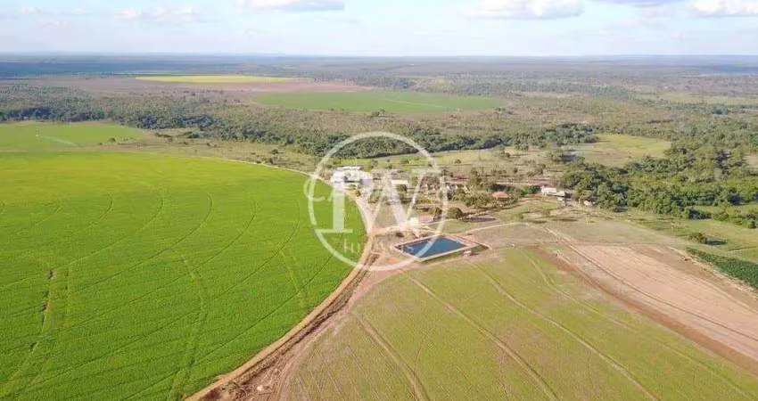 Fazenda à venda próxima a formosa-go – quase 250 alqueires, rica em água
