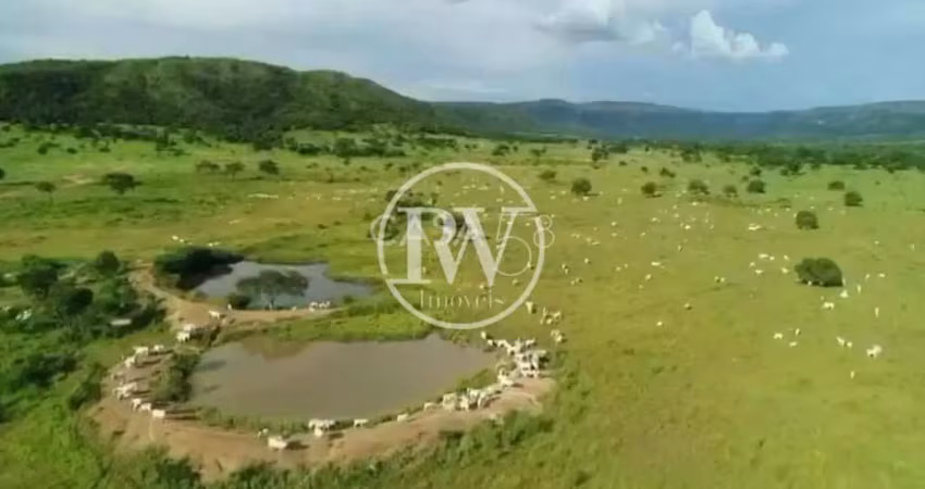 Fazenda de alto padrão à venda – 1.826 alqueires – alvorada do norte/go