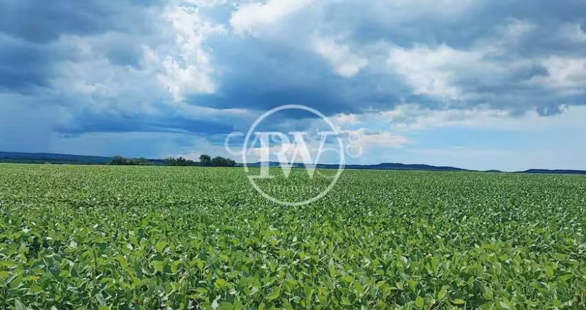 Fazenda à venda em bela vista de goiás – dupla aptidão | 70 alqueires