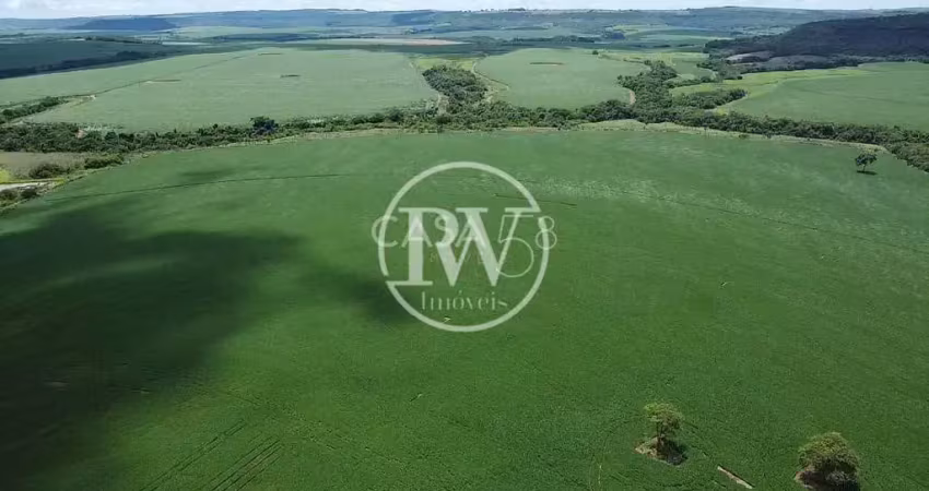 Fazenda à venda em ouroana - go | 51 alqueires produtivos próximo a rio verde