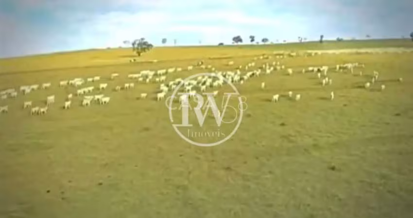 Fazenda à venda em  bela vista de goiás, go capa de revista