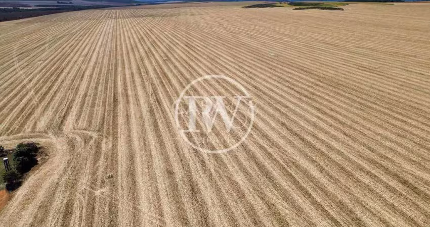 Mega fazenda de cana à venda em são paulo –5.000 alqueires altamente produtivos