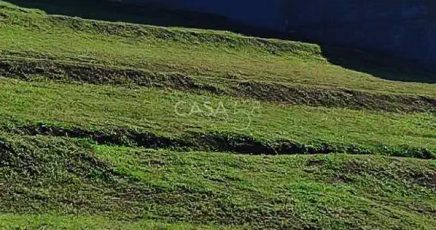 Terreno à venda na Avenida das Flores, Jardins Capri, Senador Canedo