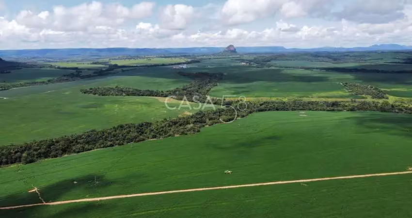 Fazenda de 11.963 ha à venda em caiapônia – go | alta produtividade para grãos