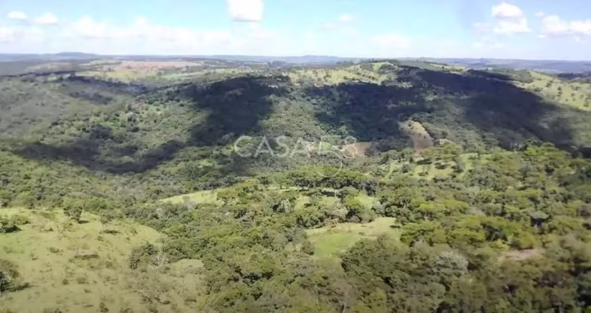 Fazenda à venda em bonfinópolis – go | 145 alqueires | plantio + pecuária