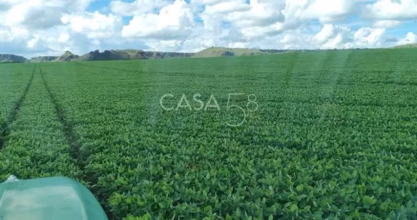 Fazenda à venda em mineirosgo 126 alqueires 335 ha em lavoura solo de qualidade
