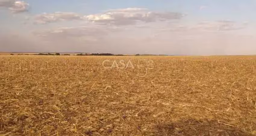 Fazenda à venda em inhumas-go – 919,6 hectares de potencial produtivo