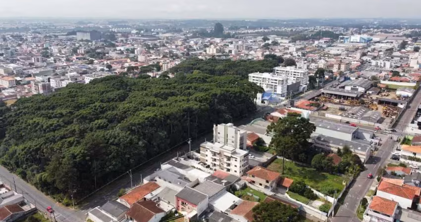 Apartamento com 2 quartos à venda na Rua Tavares de Lyra, 1536, Parque da Fonte, São José dos Pinhais