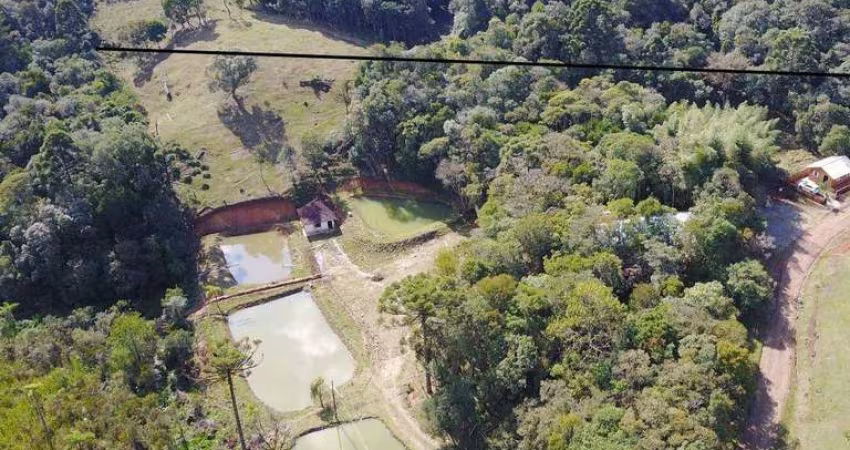 Terreno à venda, 25400 m² por R$ 650.000 - Quatro Barras/PR