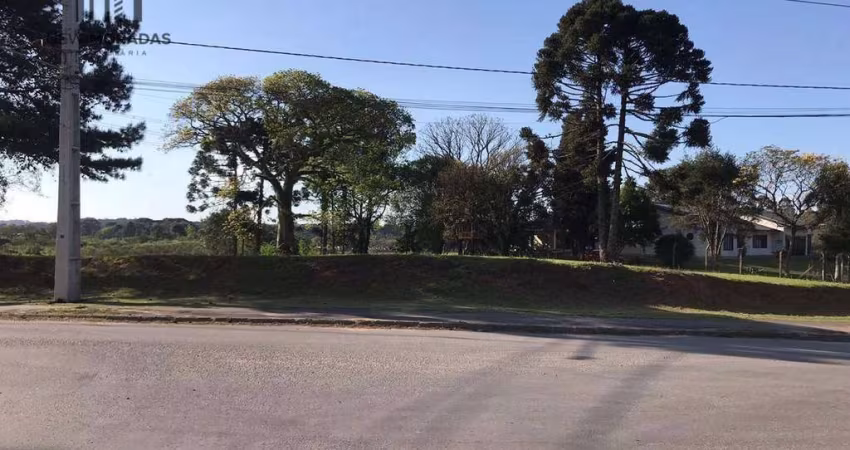 Terreno à venda, 1400 m² por R$ 1.550.000 - Veneza - Fazenda Rio Grande/PR