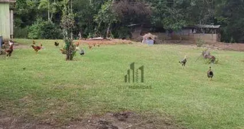 Chácara com 4 dormitórios à venda, 5000 m² por r$ 280.000 - paloma - colombo/pr