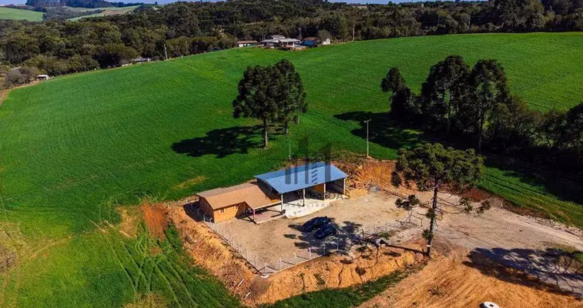 Sítio com 3 dormitórios à venda, 363865 m² por r$ 2.350.000,00 - água amarela - antônio olinto/pr