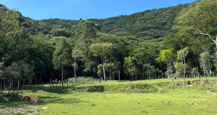 Fazenda à venda na Rua Manoel Antônio Cândido, 1, Enseada de Brito, Palhoça