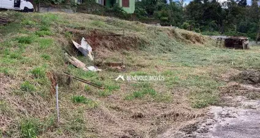 Terreno à venda, 927 m² por r$ 600.000 - vila santo antônio - cotia/sp