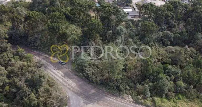 Terreno à venda na Rua Roberto Ciro Correia, 45, Limeira, União da Vitória