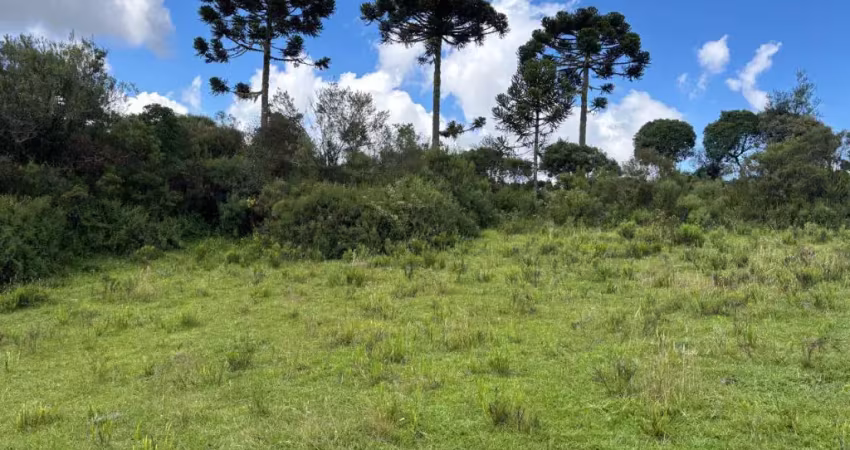 *terreno de 24 hectares* com excelente potencial de aproveitamento e *vista panorâmica de 360 graus, localizado a apenas **2,5 km da sc-110* (acesso asfaltado), na *vila pericó