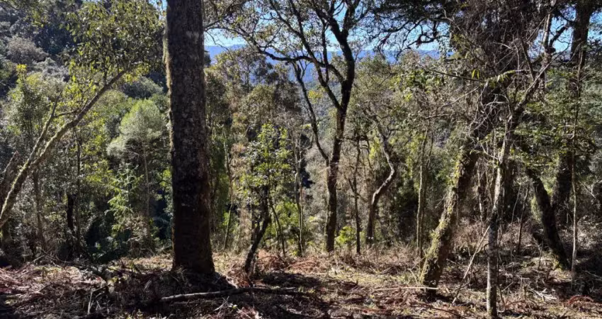 Linda chácara à venda em urubici, na serra catarinense! com excelente aproveitamento de área, esta propriedade oferece uma vista deslumbrante de altitude