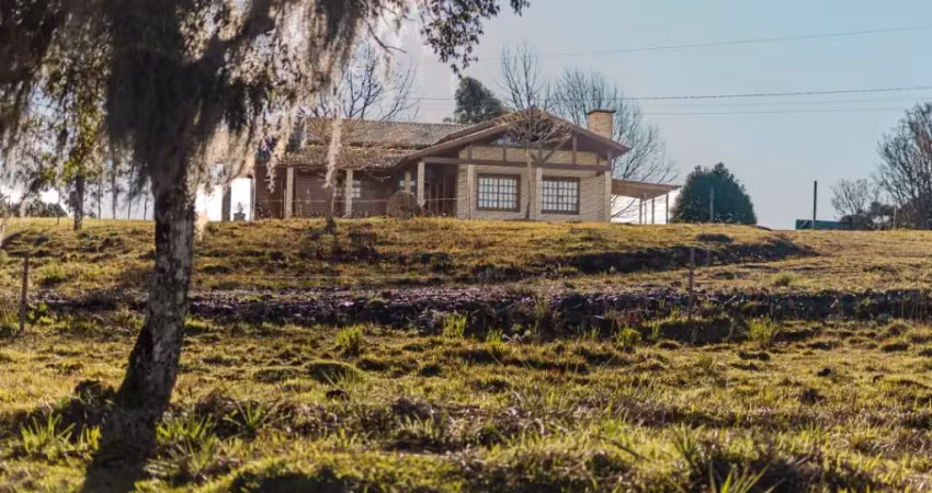 Chácara / sítio com 3 quartos à venda na RODOVIA BR 453, KM 176,5, 310, Vila Seca, Caxias do Sul