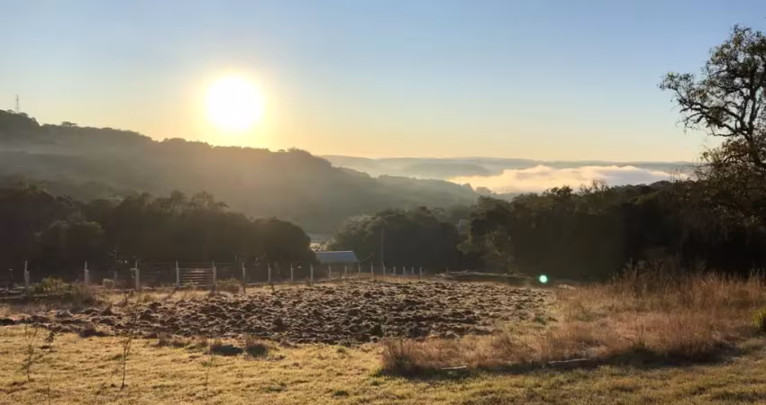 Ótimo investimento rural na localidade de são francisquinho- criúva