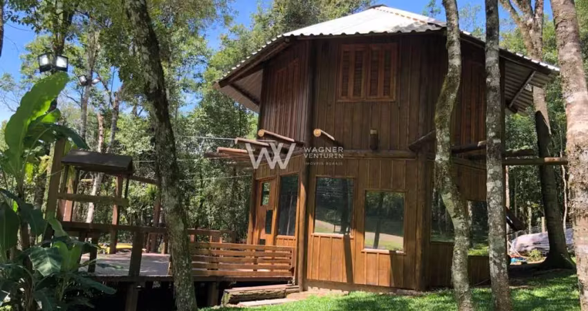 Chácara / sítio com 2 quartos à venda na Travessão Esmeralda, 14, Zona Rural, Flores da Cunha