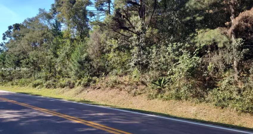 Terreno comercial à venda no Trigolândia, Piên 